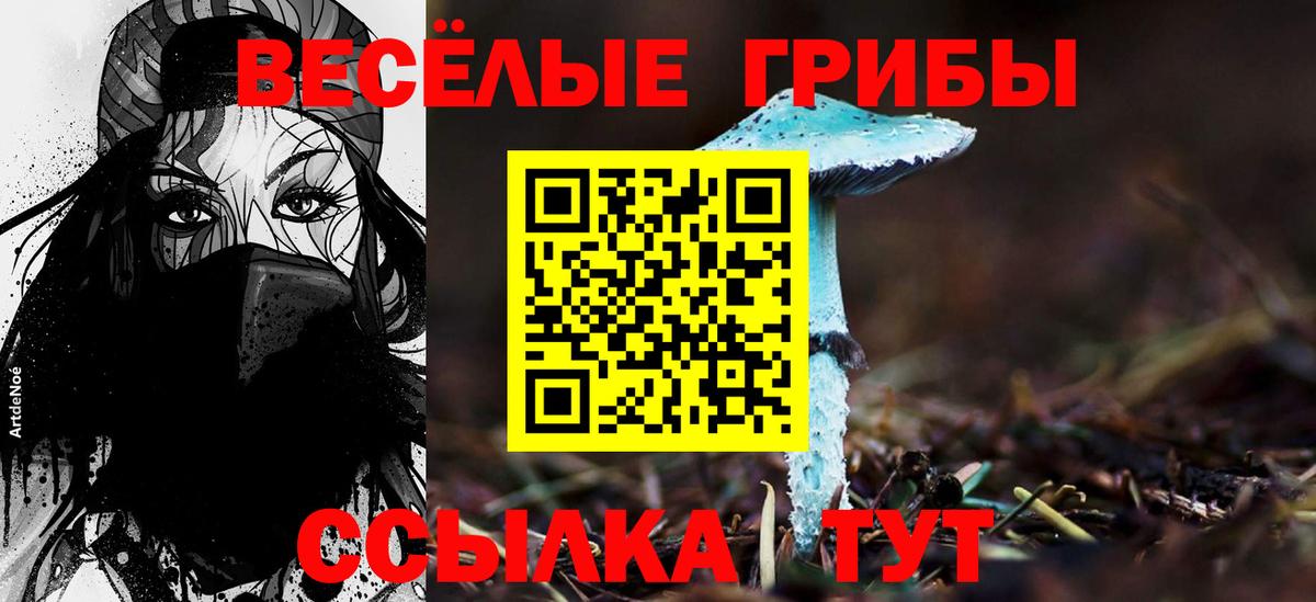 Псилоцибиновые грибы мицелий Новый Уренгой